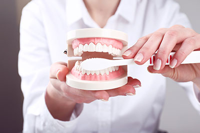 A person s hand holding a dental model with missing teeth, positioned in front of a white background.